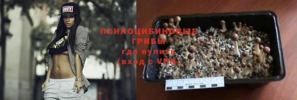 дмт Весьегонск
