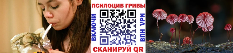 наркошоп  Демидов  KRAKEN сайт  Псилоцибиновые грибы GOLDEN TEACHER 